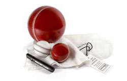 cricket autograph ball